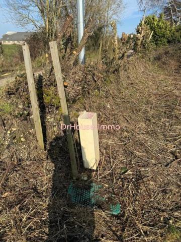 Terrain à vendre de 1 215 m²