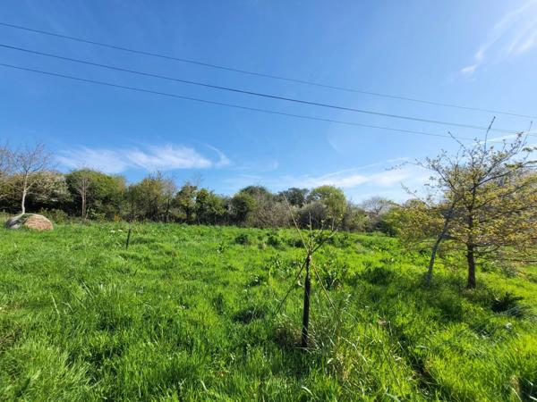 Local/bureau à vendre CROZON (29)