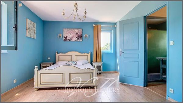 Domaine de 2 habitations distinctes dans un environnement sans nuisance au coeur de l'Anjou