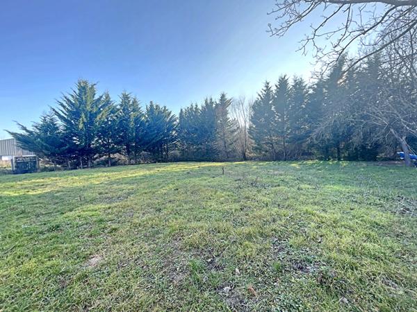 Terrain Orleans sud de 605 m2