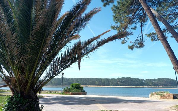 Appartement à vendre    2 pièces • 28,70 m2 Soustons