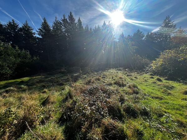 Terrain constructible viabilisé de 1900 m2