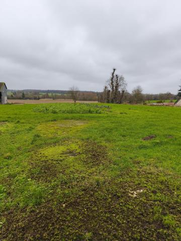 Terrain - 1000 m² Exclusivité efficity