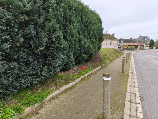 Terrain - 1000 m² Exclusivité efficity