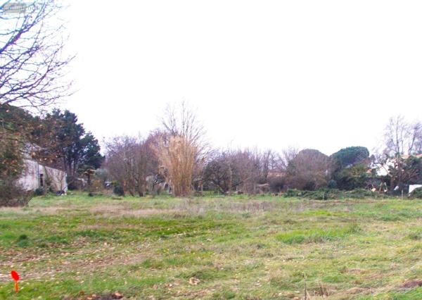 Terrain à Batir à vendre à Arvert en Charente-Maritime (17530), ref : FD/JOM/24-03