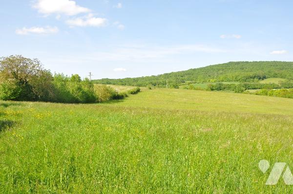 Entre BOUSSENS et AURIGNAC, belle propriété en pierres sur 7 hectares sans fermier. prix 286.000 €.