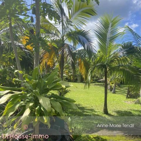 Terrain à vendre de 784 m²