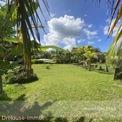 Terrain à vendre de 784 m²