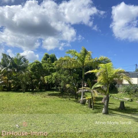 Terrain à vendre de 784 m²