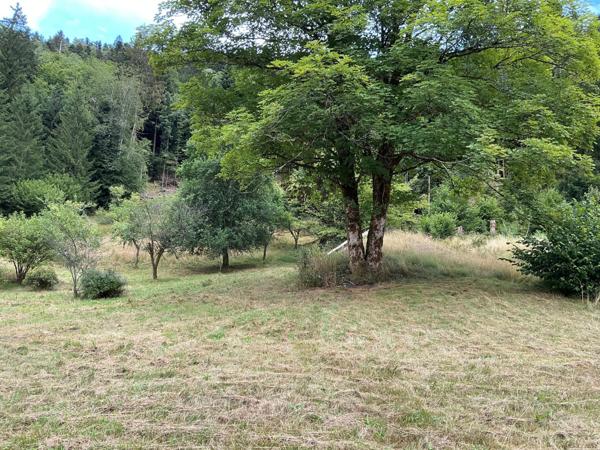 Maison 104m², 4 pièces, 3 chambres, dépendances,44760 m2 de terrain