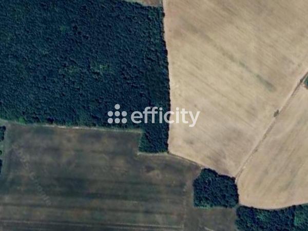 Terrain - 860000 m²