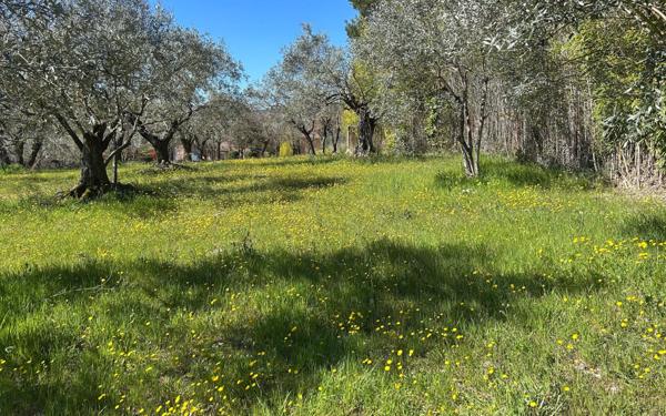 Terrain à vendre    Entrechaux