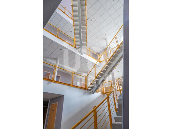 Immeuble à vendre 1 239 m² Albert