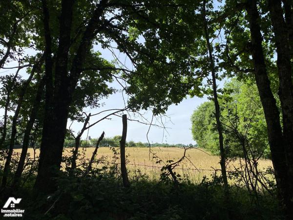 A vendre, entre Mauriac et Chalvignac, beau terrain de  10 768 m2.

Une partie d'environ 4000...