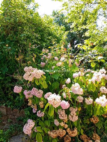 Vente Maison de village 8 pièces 243 m2 à Arc-Et-Senans