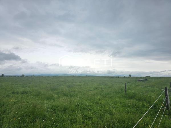 Terrain constructible plat Neuvéglise-sur-Truyère (15142)