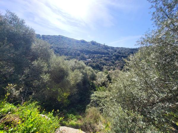 TERRAIN D'ENVIRON 15 000 M2 AVEC CASEDDU Sartène (20100)