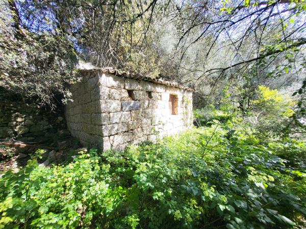 TERRAIN D'ENVIRON 15 000 M2 AVEC CASEDDU Sartène (20100)