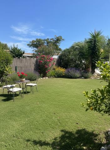 OLETTA - MAISON 50 M² - PISCINE - TERRAIN 800 M²