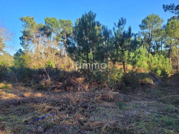 Maison contemporaine 148m2 Le Pian Médoc