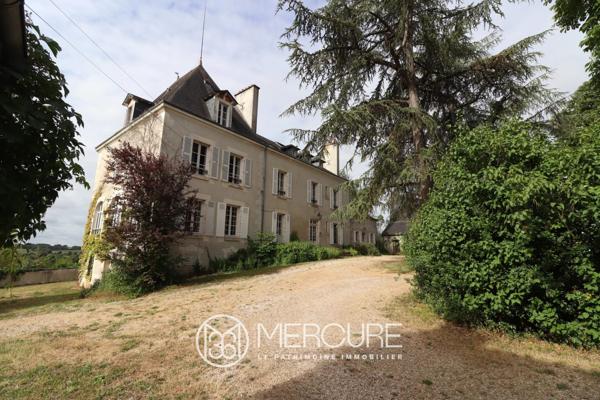 Château à Le Blanc