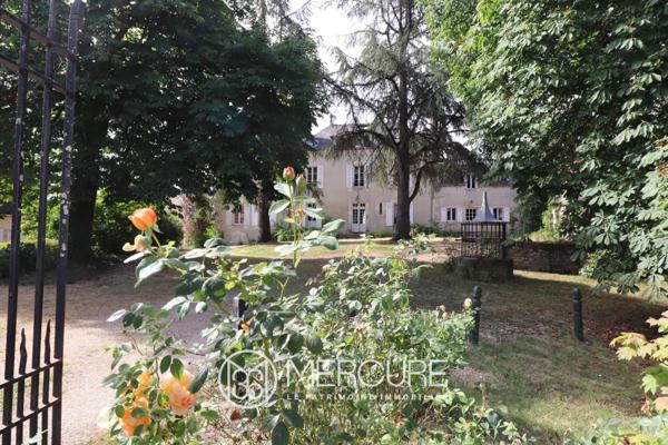 Château à Le Blanc