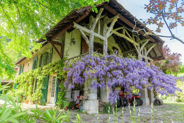 Maison de caractère à Peyrieu; Idéale chambres d'hôtes ou gîtes