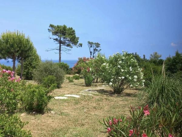 Vente Villa 6 pièces 262 m2 à Sari-Solenzara