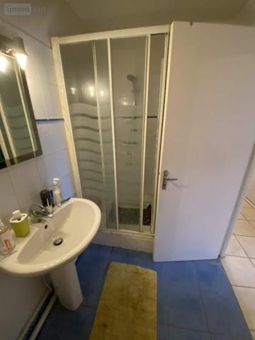 Appartement à vendre à Joué-lès-Tours dans l'Indre-et-Loire (37300), ref : 005/2049