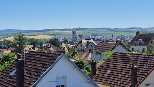 Appartement Auxerre 1 pièce(s) 36,39 m2