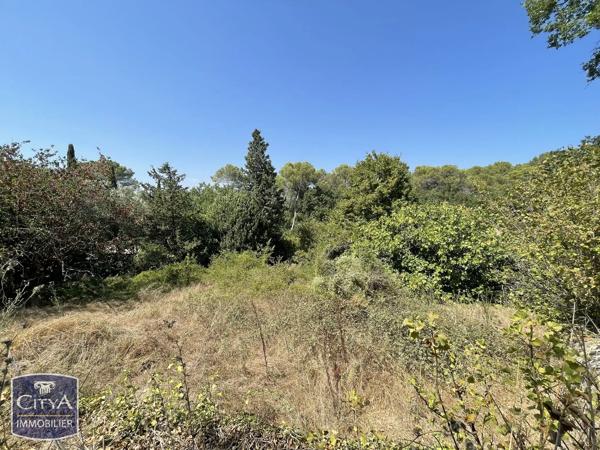 Maison à vendre 3 pièces 80m² Mouans-Sartoux (06370)