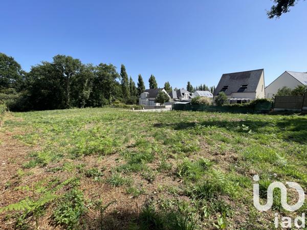 Terrain à vendre 497 m² Belz