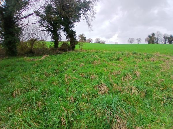 Charmante maison en pierre à la campagne