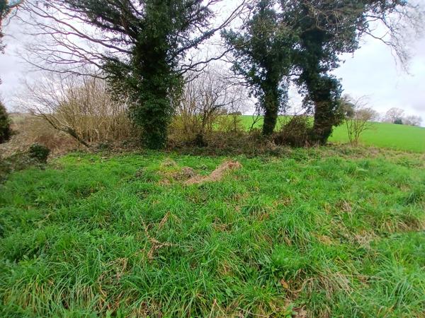 Charmante maison en pierre à la campagne