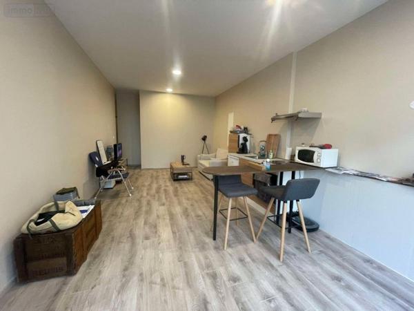 Local professionnel à vendre à Saumur dans le Maine-et-Loire (49400), ref : 49075-663