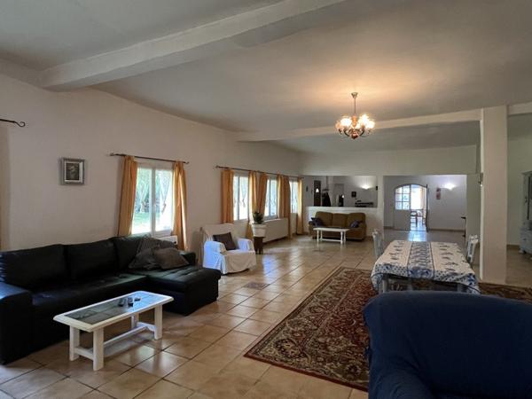 Maison à vendre |                                       Luçay-le-Mâle |                                        10 pièces  |  480 m²