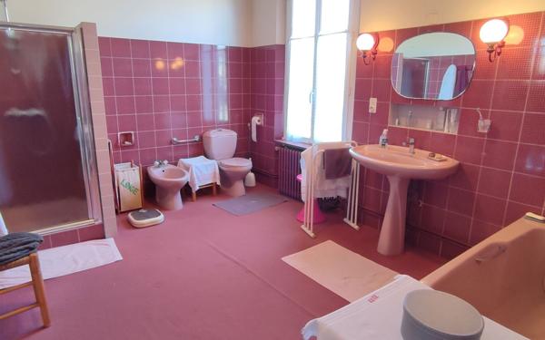 Maison à vendre    8 pièces •  Vic-en-Bigorre