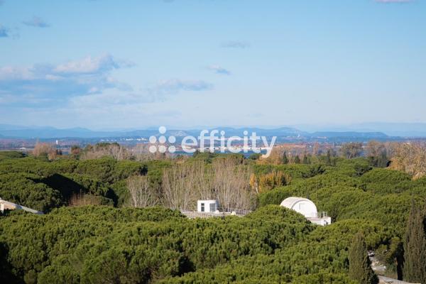Appartement 2 pièces - 37 m²