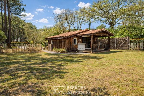 Maison entre architecture de verre et pinède