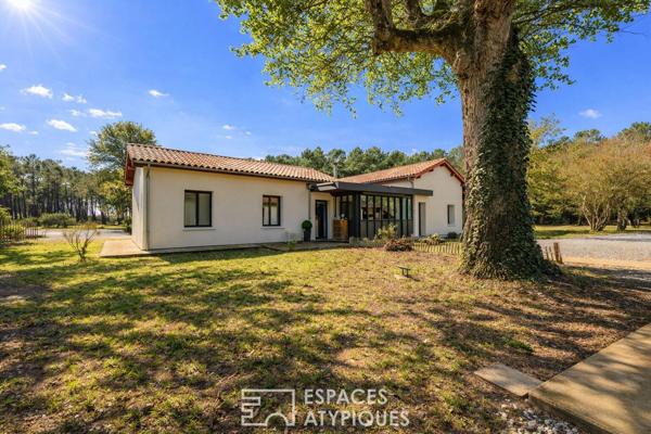 Maison entre architecture de verre et pinède
