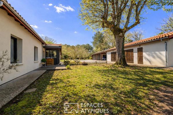 Maison entre architecture de verre et pinède
