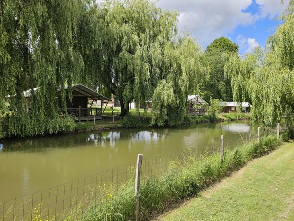 Complexe de glamping sur plus de 5 hectares avec étang