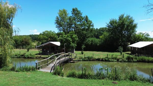 Complexe de glamping sur plus de 5 hectares avec étang