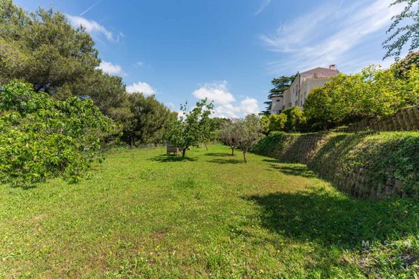 Nice (06200) Villa de 6 chambres dans les collines de Fabron, à Nice, avec piscine, garage et annexe
