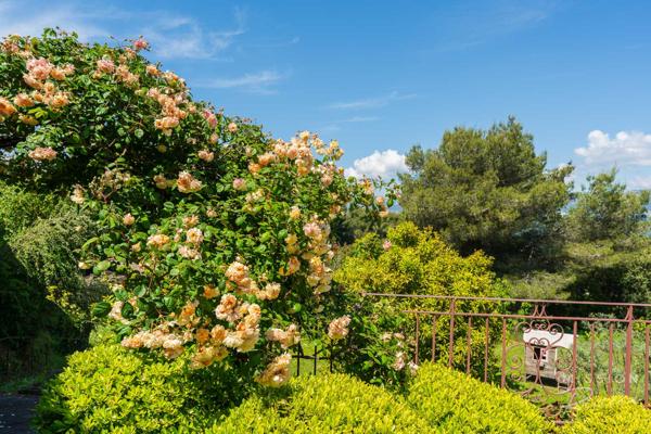 Nice (06200) Villa de 6 chambres dans les collines de Fabron, à Nice, avec piscine, garage et annexe