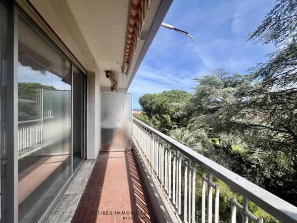 Antibes Studio 26 m2 Parking Cave