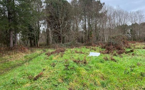 Terrain à vendre |  Mios |  1292 m²