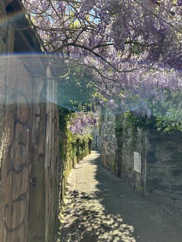 Coup de coeur en ville Morlaix (29600)
