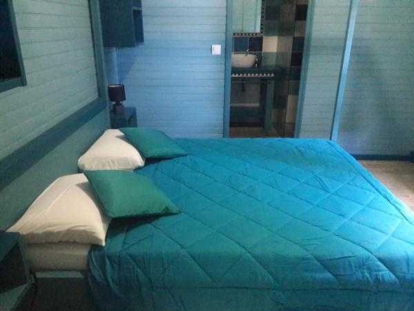 Pure villa Créole plage à pied + 2 bungalow F1 et F3 avec garage et piscine sur 1965 m² de terrain arboré