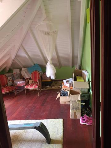 Pure villa Créole plage à pied + 2 bungalow F1 et F3 avec garage et piscine sur 1965 m² de terrain arboré